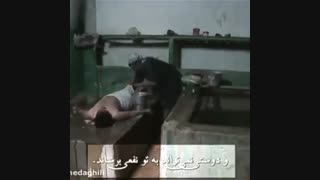 ایستگاه مرگ!؟