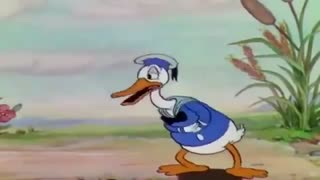 Silly Symphony,Donald Duck