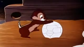 چیپ و دیل درمرغ داری