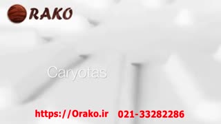 نمونه کار دیوارپوش اراکو 33282286-021