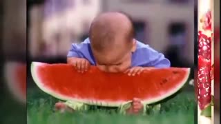 اهنگ شب یلدا|Shabe Yalda|شب یلدا(حامد محضرنیا)