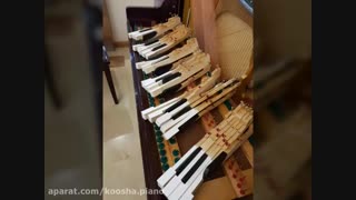 کوک و رگلاژ پیانو شما (کوشا ۰۹۱۲۵۶۳۳۸۹۵) پیلینگ