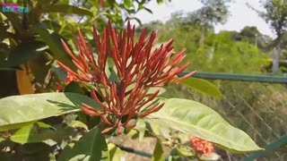 بررسی و معرفی Samsung Galaxy J4 Plus 2018