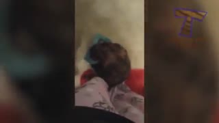 کلیپ و فیلم خنده دار گربه