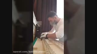 کوک و رگلاژ پیانو (کوشا ۰۹۱۲۵۶۳۳۸۹۵) پر کردن دندان