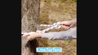 دوازده گره کاربردی جالب