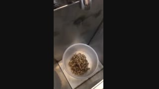 دستگاه روغن گیر