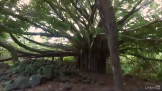 آموزش عکاسی مادون قرمز(مقدمه)