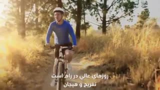 تخفیف یلدایی