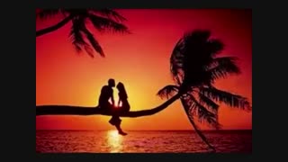 حلالم کن علی کارونی