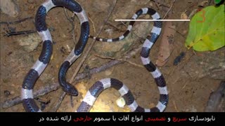 رعب انگیزترین مارهای جهان!
