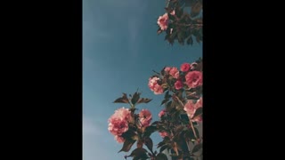 اینم چد تا جوک دیگ...:)