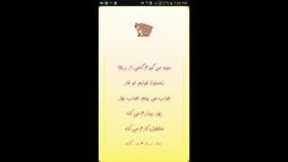 آموزش حیوانات - خرس