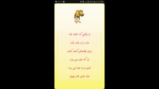 آموزش حیوانات - شتر