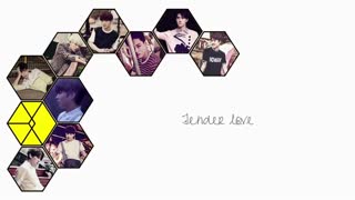 EXO _Tender Love