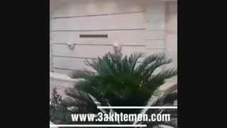 آبنمای پرده ای