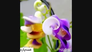 سلام کسی هست ?????