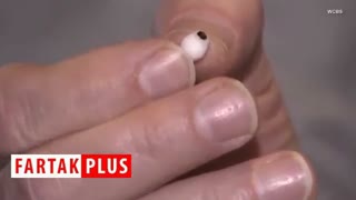 پیدا شدن اشیاء در غذا همیشه هم منزجرکننده نیست