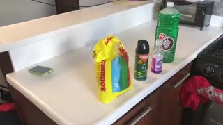 انواع اشپزی زنان