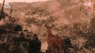 سریال مامان پری و هیزم شکن قسمت 15 بازیرنویس چسبیده (دانلود با 4 کیفیت)