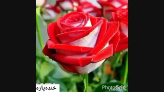 توضیحات بسیار مهم مبارکهههه