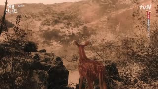 دانلود سریال کره ای مامان پری و هیزم شکن 2018 Mama Fairy and the Woodcutter با بازی مون چه وون + زیرنویس فارسی (قسمت پانزدهم)