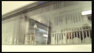 جوجه یکروزه هایلاین