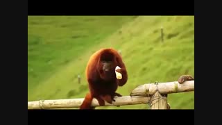 کلیپ انگیزشی قدرت فکر