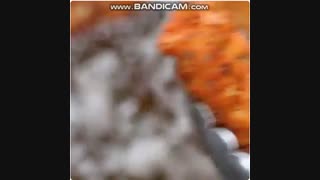 آشپزی - آموزش پخت نوعی جوجه سوخاری