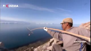 مستند بی بی سی سیاره انسان ها : شکار ماهی‌گیرک مهاجر و تامین غذای زمستان