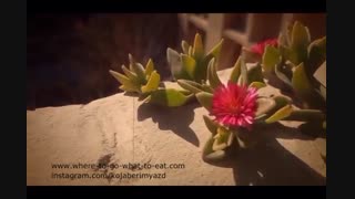 جاذبه ها و اماکن تاریخی و تفریحی و رستورانهای جهانشهر یزد