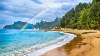 برای مسابقه بزرگ شادی