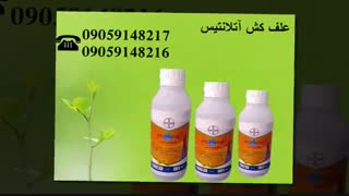 علف کش آتلانتیس