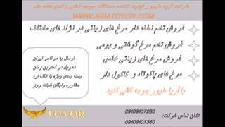 عرضه  تخم نطفه دار طیور زینتی