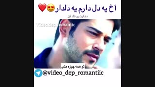 عاشقتم.....عشقم