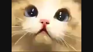 دوستت دارم ...