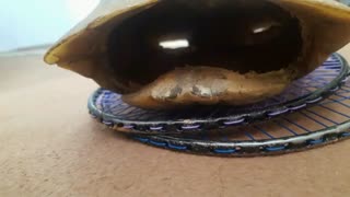 واییی نگا چی پیدا کردم . پلی کنید