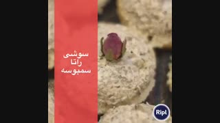 فینگرفودهاى ساناز