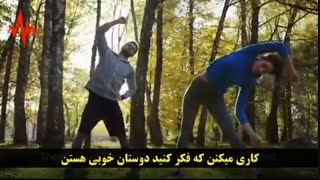 برگ ،شاخه یا ریشه