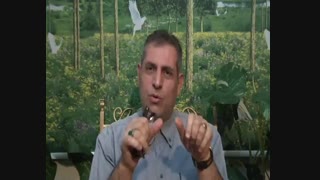 بازار یابی بدون سرمایه