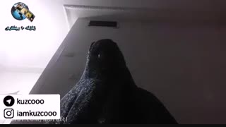 شرف، تو درود آریائیتون