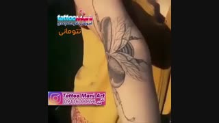 تمرین تتو حشره روی ساعد