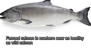 10 غذای سرطان زا که باید از خوردن آنها اجتناب کنید(3)