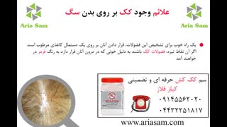 تشخیص کک سگ - نابودی کک