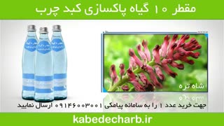 بهترین روش برای پاکسازی کبد چرب