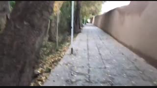 باغ ماهان