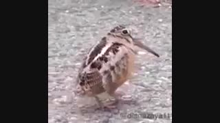 شوخی خرکی من تو مدرسه XD