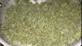 طرفدارهای قرمه سبزی بیان یادبگیرن به به