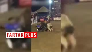 له شدن یک گاوباز در زیر سم‌های گاو