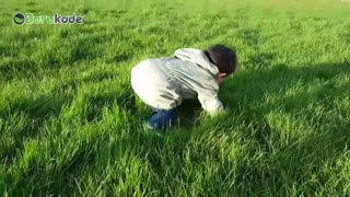 آلرژی کودکان